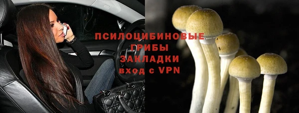 mdpv Магадан