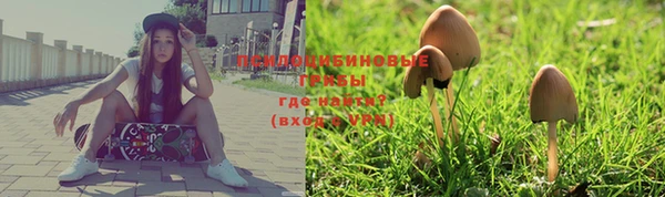 тгк Магас