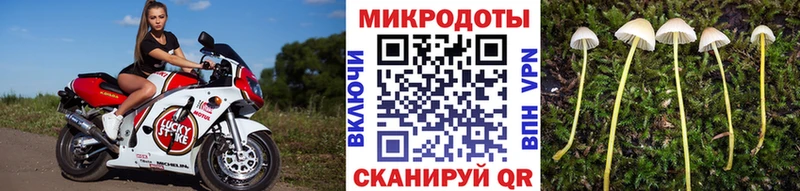 Галлюциногенные грибы Magic Shrooms  Нижневартовск 